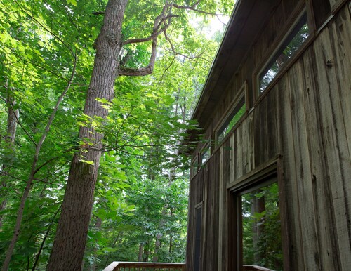 Unique Cottage Nestled Within Tall Oaks - SLEEPS 6!