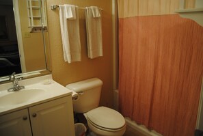 Combined shower/bathtub