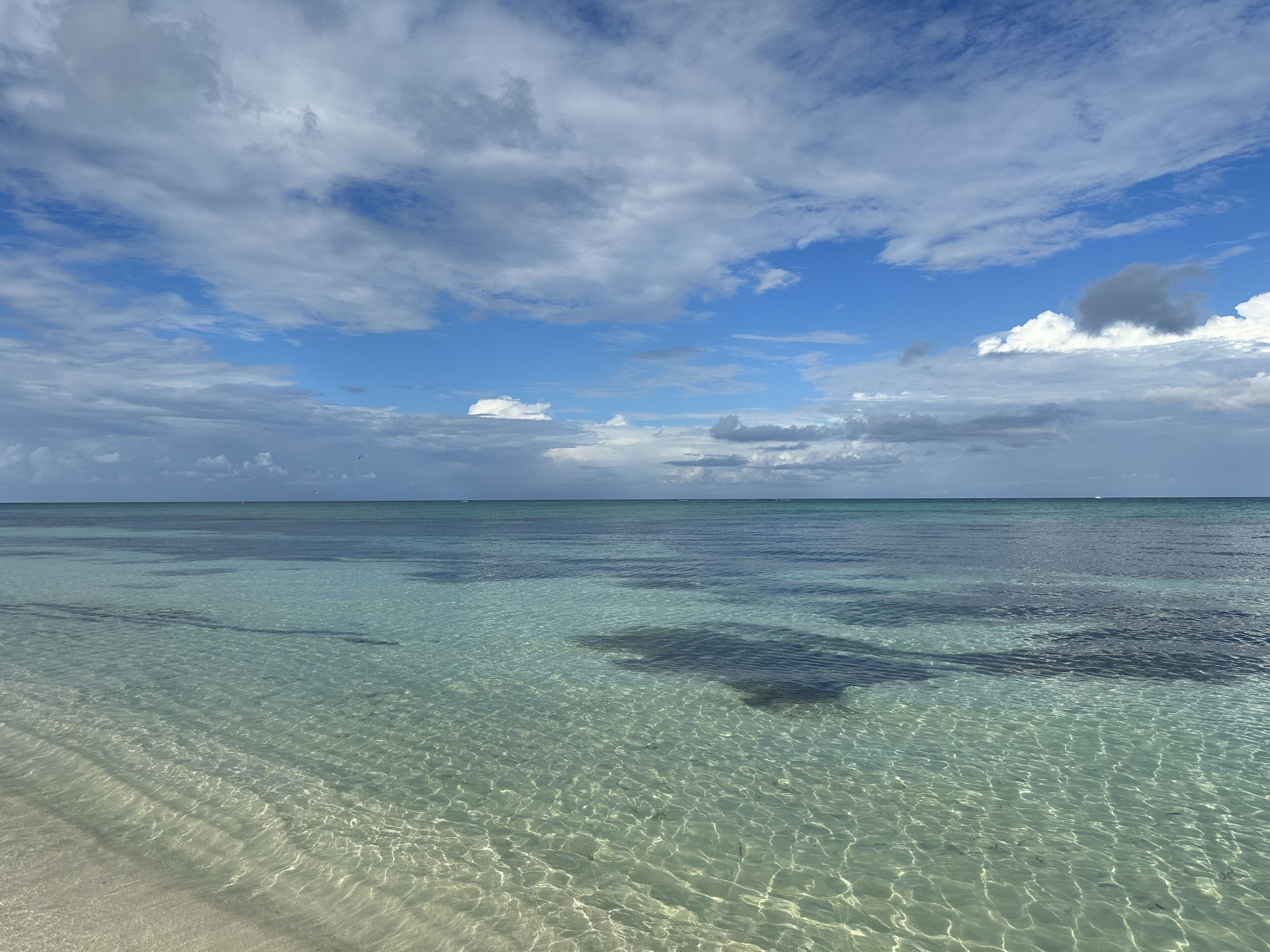 Accommodatie ligt op het strand, strandlakens