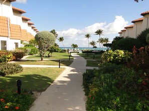 Un sendero que conduce a una zona de piscina con palmeras y vista al océano.