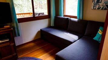 TV connectée, lecteur de DVD, livres