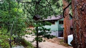 A cabin surrounded by dense forest with a dirt path leading to the entrance. - Immaculate Seashell River Cabin at Estes Park (Estes Park)