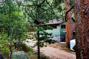 Property grounds - Immaculate Seashell River Cabin at Estes Park (Estes Park)