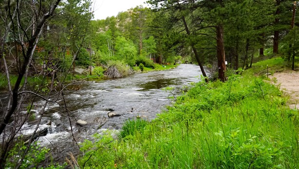 A river flowing through a forested area with dense greenery and trees. - Immaculate Seashell River Cabin at Estes Park (Estes Park)