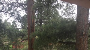 A wooden deck with a railing, a potted plant, and an American flag. - Immaculate Seashell River Cabin at Estes Park (Estes Park)