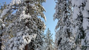 A snow-covered landscape with a building featuring a yellow facade and a visible door. - All The Comfort Of Home <br> Permit Number 0498 (South Lake Tahoe)