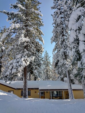 Property grounds - All The Comfort Of Home <br> Permit Number 0498 (South Lake Tahoe)