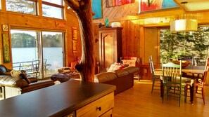 Smart TV, fireplace, DVD player, books