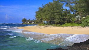 Ein Strand mit klarem, blauem Wasser, sandigem Ufer und üppiger Vegetation.