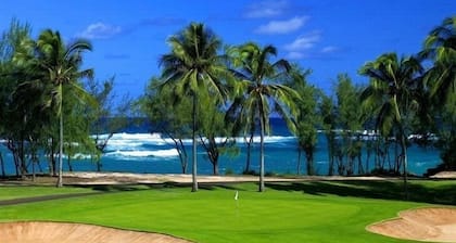 'Aloha!' Perfect Location, Near Beach, Sun Deck!! STR Permit # 2210-CCH-0039