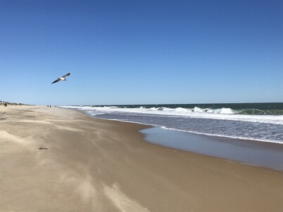 Relaxing Getaway in Fenwick Island 