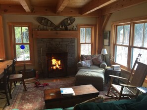 Smart TV, fireplace, books, stereo
