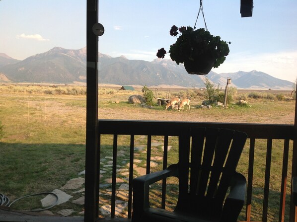 Property grounds - Lazy K on the Madison River (Cameron)