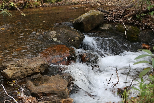 Rushing stream below the cabin borders National Forest. No neighbors in sight!