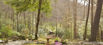 A Hiker's Paradise  Private Cabin on Small, Rushing Stream Near A/T-