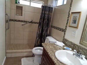 A bathroom with a shower, toilet, sink, and a handrail. - Spacious, 5 bd/3 ba home in Orchidland Estates (Pāhoa)