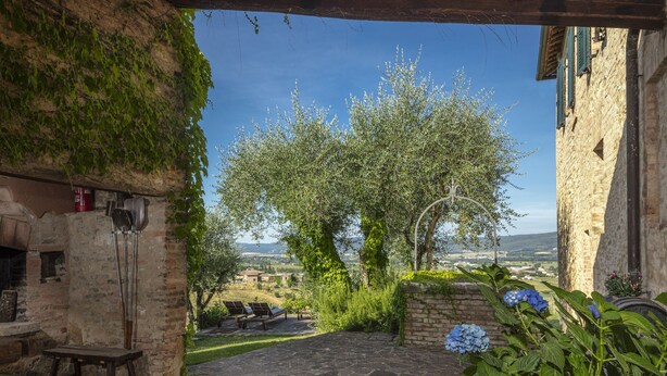 A stone patio with a view of olive trees and a distant landscape. - Traditional Tuscan farmhouse with stunning views & air conditioning (Siena)