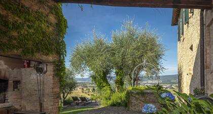 Ferme toscane traditionnelle avec une vue imprenable