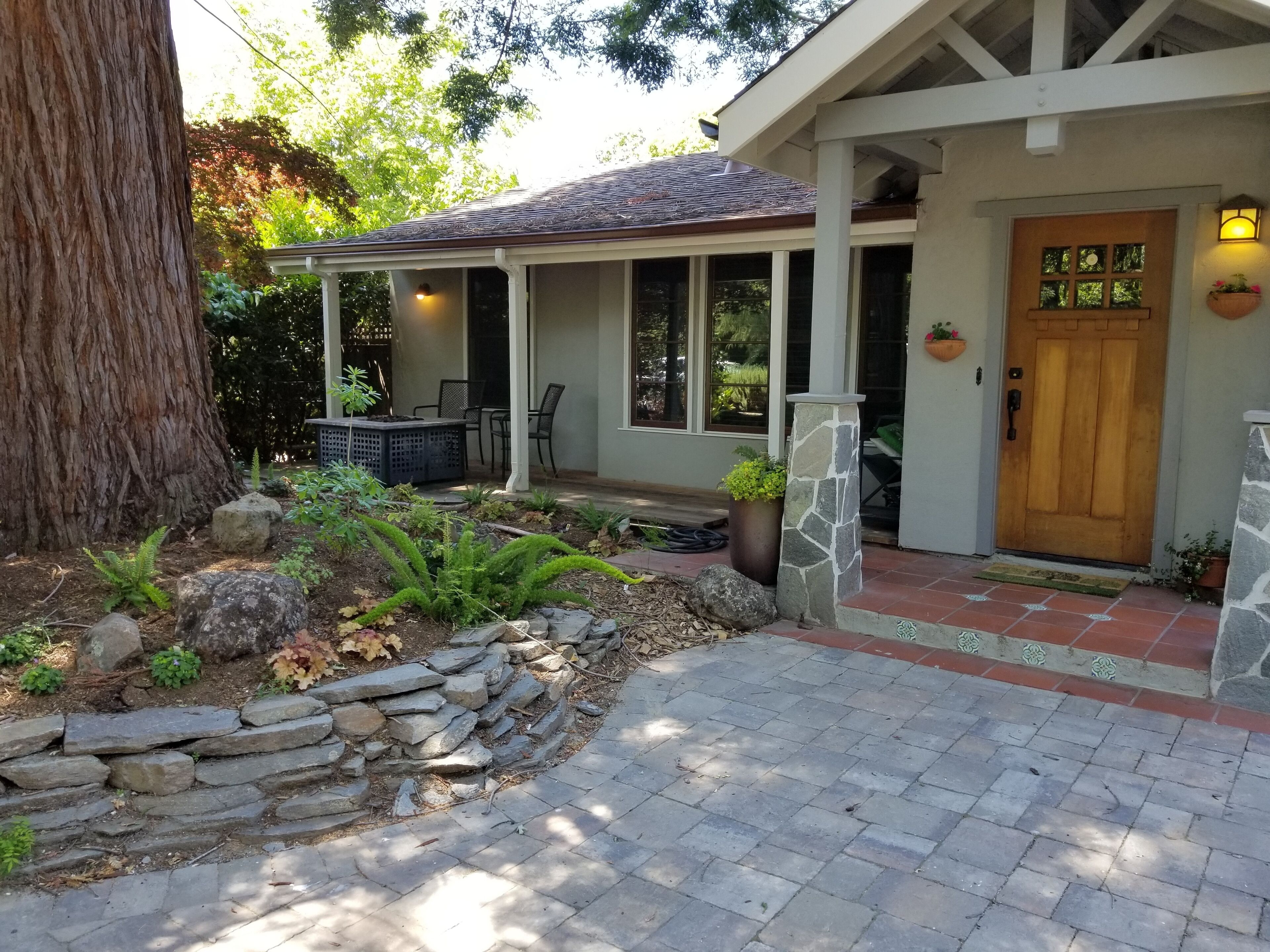 Downtown Lafayette Under a Redwood