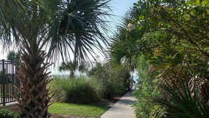 A concrete pathway flanked by lush greenery and a palm tree. - Brand New Reno! OF, End Unit, King bed, Quartz Counters, Shaker Cabinets (Myrtle Beach)