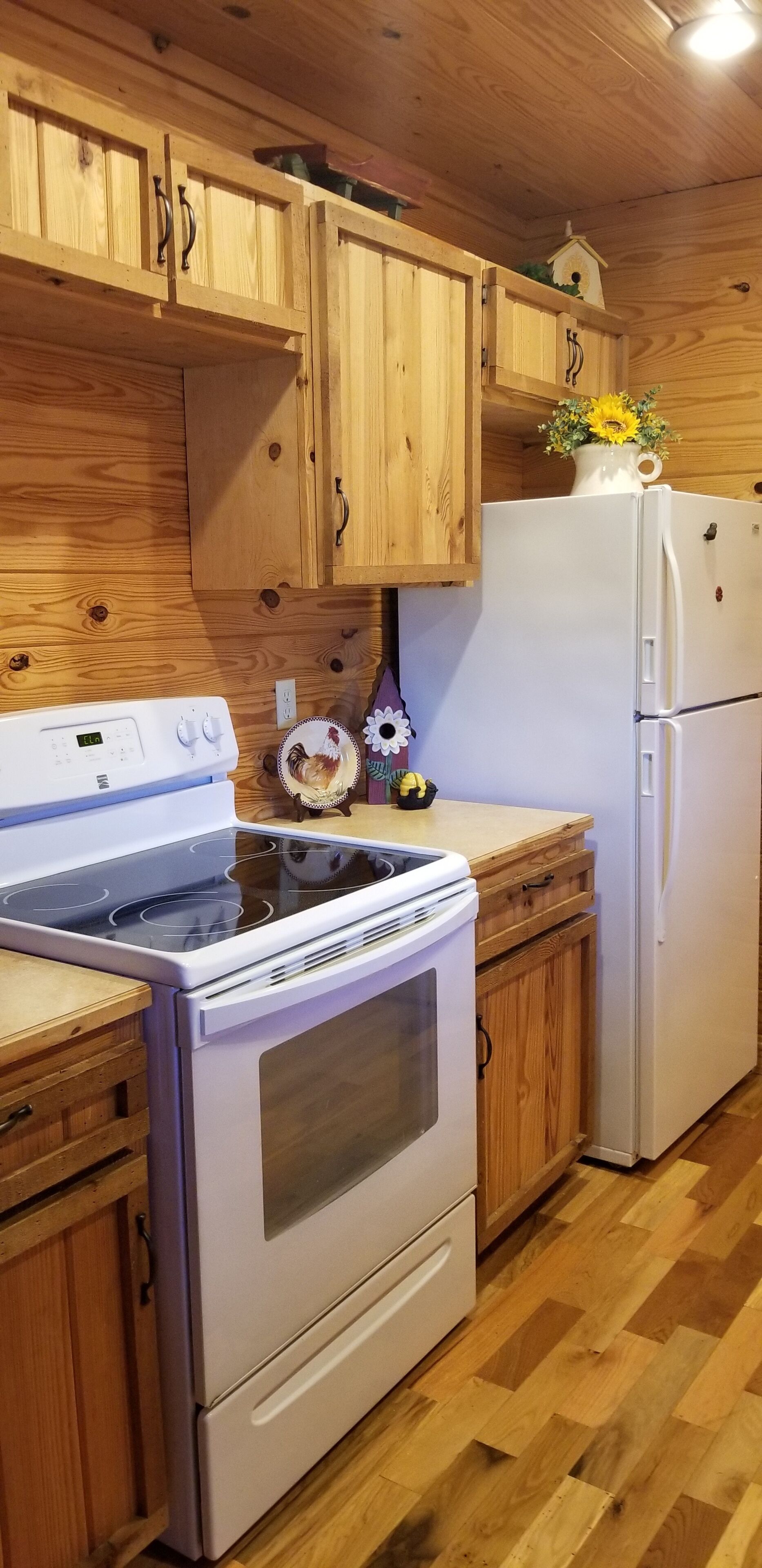 Beautiful cabin style home backing up on the White River!