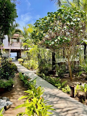 Property grounds - Luxurious Troncones Beachfront! 30mins to Ixtapa (Troncones)