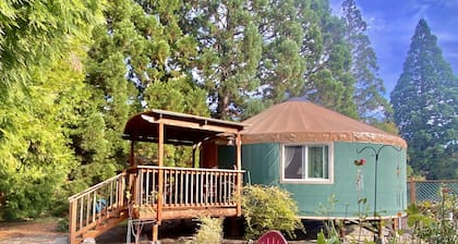 Yogi's Den is a playfully themed Yurt starring Yogi the bear and his pals.