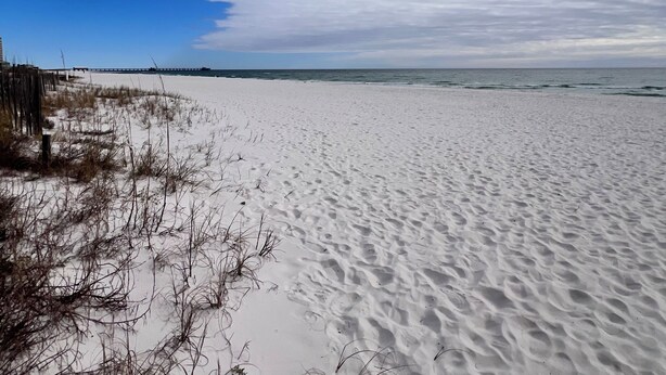 Ein Strand mit weißem Sand und vereinzelter Vegetation.