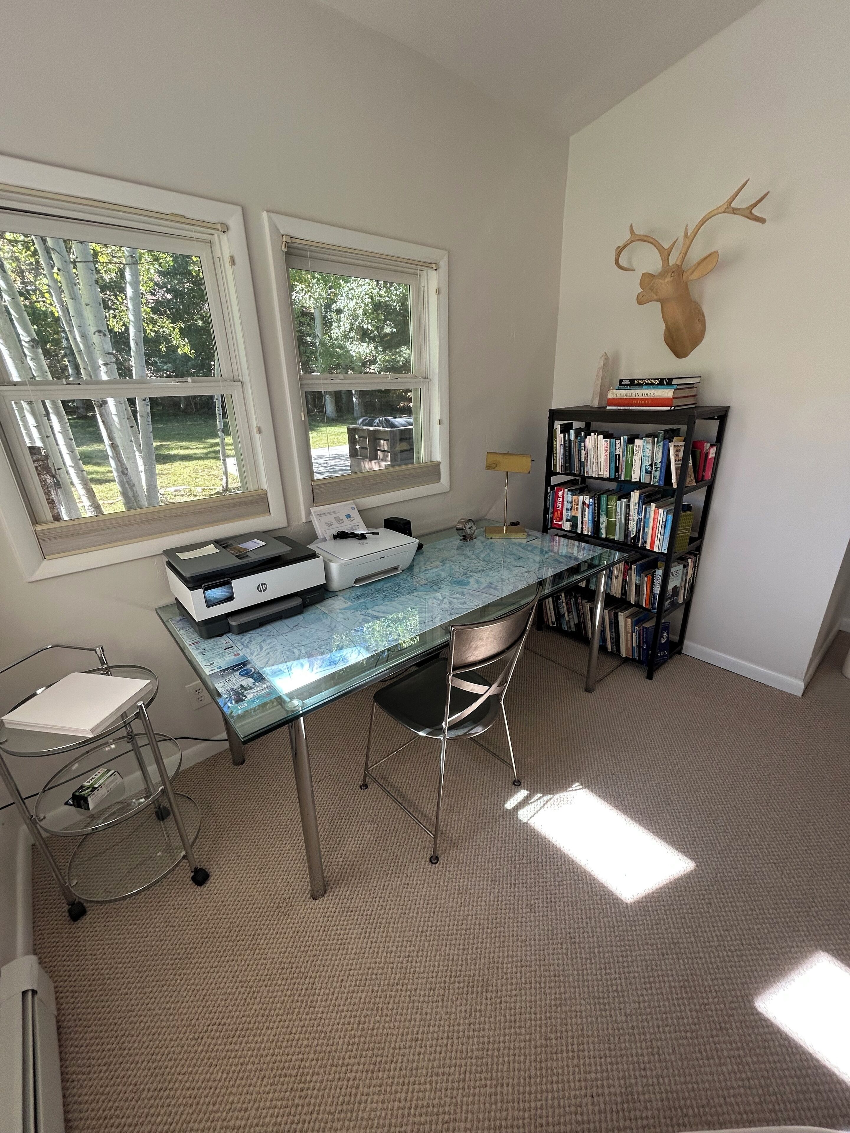 Een werkplek aan huis met een glazen bureau, twee ramen, een boekenplank en een decoratie van een hertenkop.