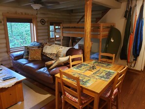 Flat-screen TV, fireplace, DVD player, books