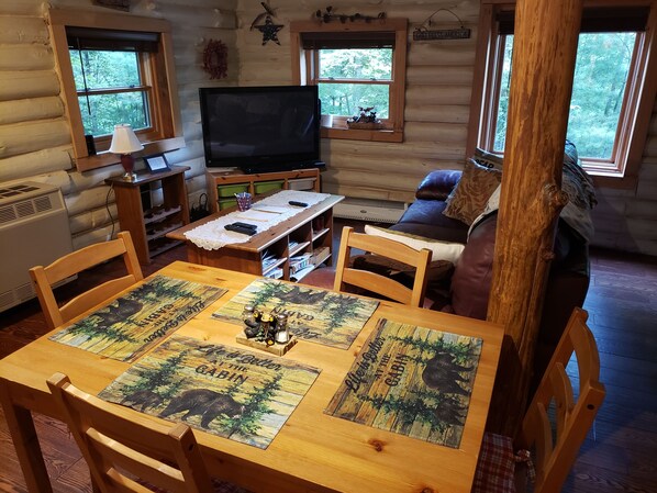 Flat-screen TV, fireplace, DVD player, books