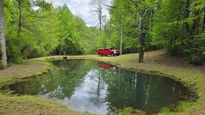 A pond surrounded by trees with a red vehicle parked nearby.