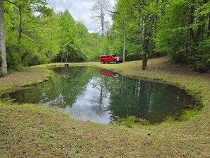 Property grounds - The Veranda Log Cabin (Zirconia)
