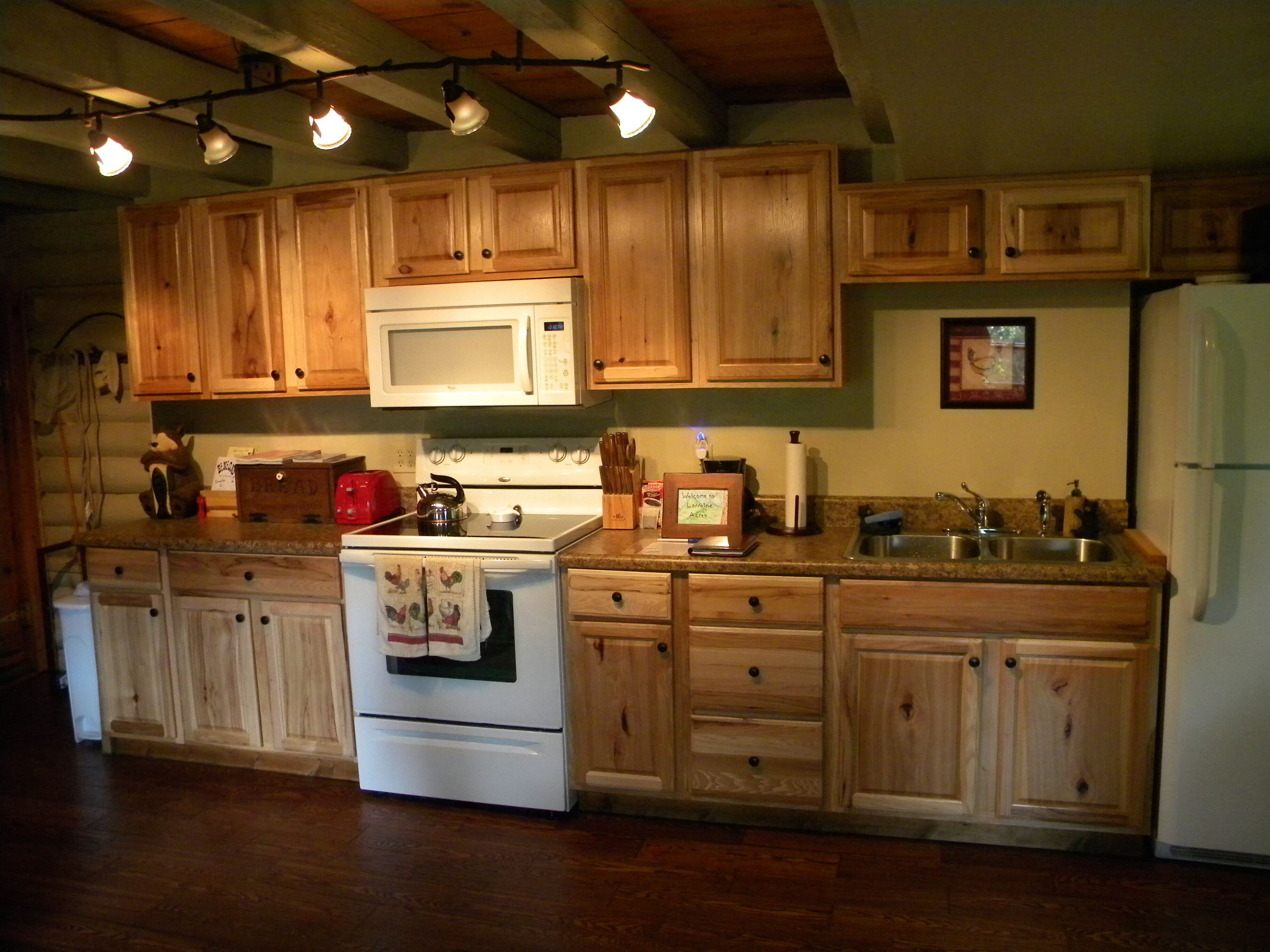 Rustic Log Cabin on 25 Acre Mountain Retreat, Relax with Nature, Pond, & Stream!