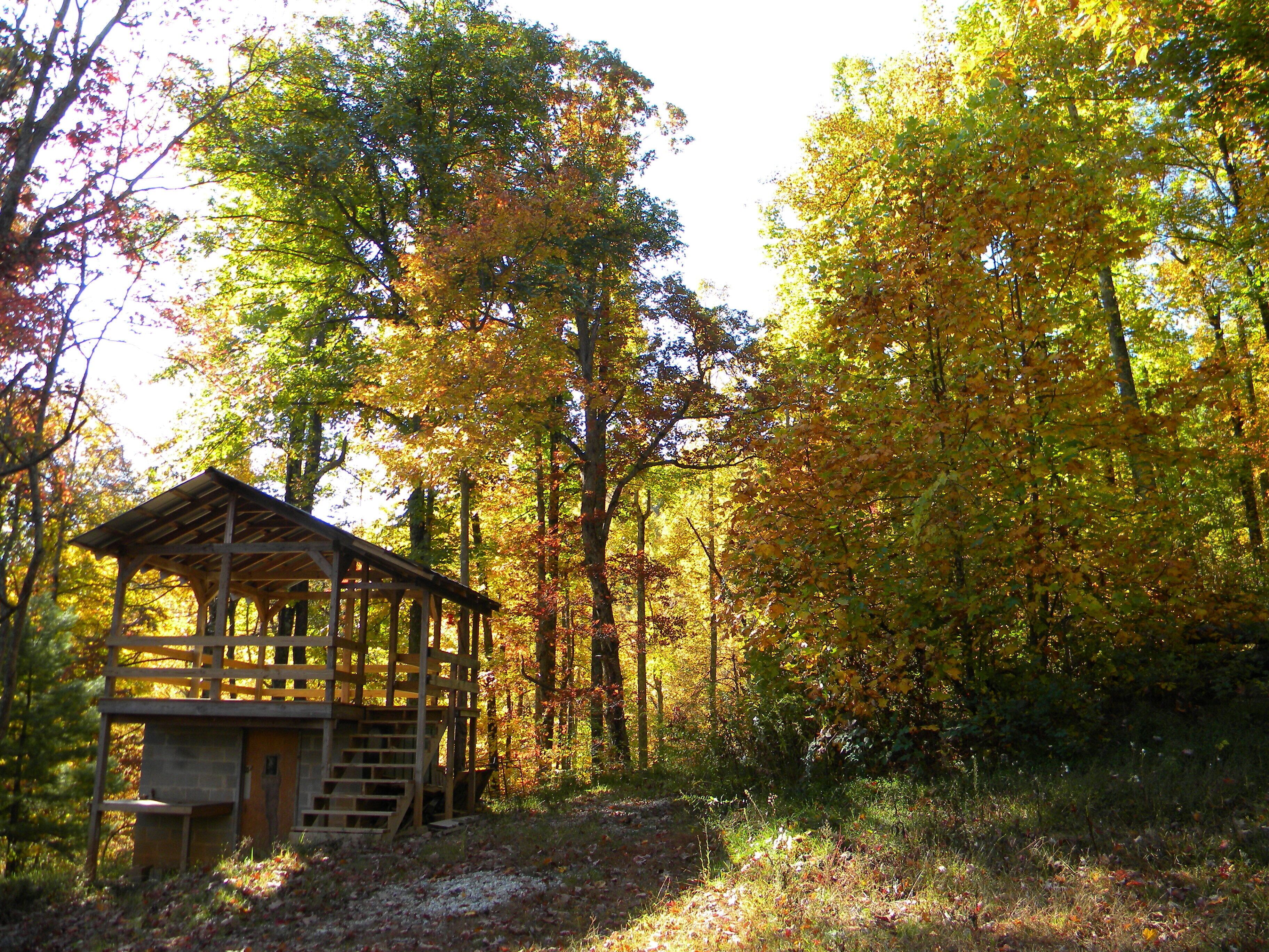 A rustic wooden structure in a forested area with a clear path leading to it.