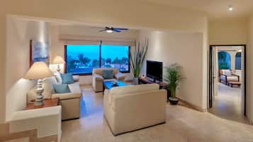 電視、壁爐、電子遊戲、DVD 播放機