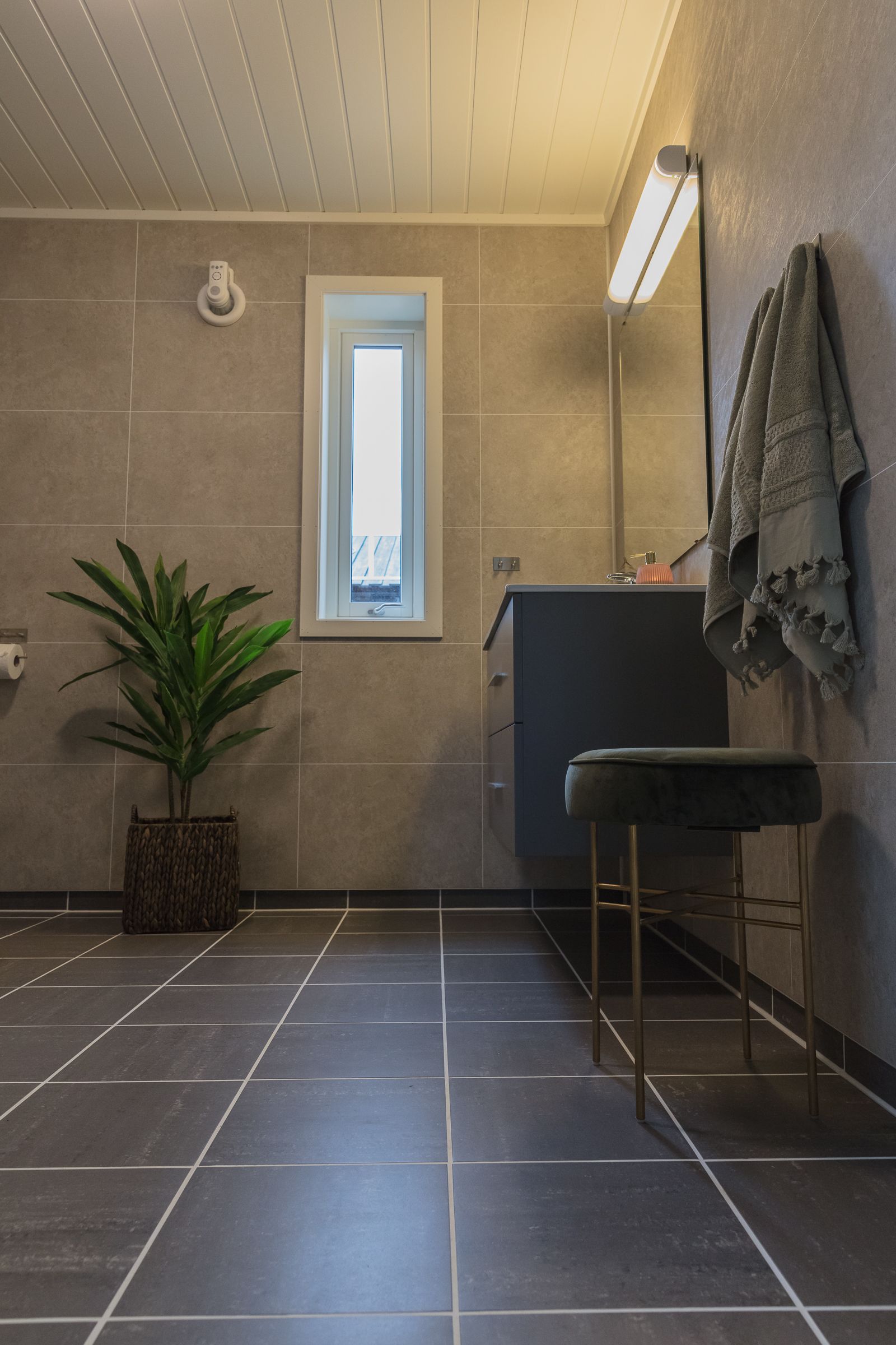A bathroom with a window, a plant, a towel rack, and a sink.