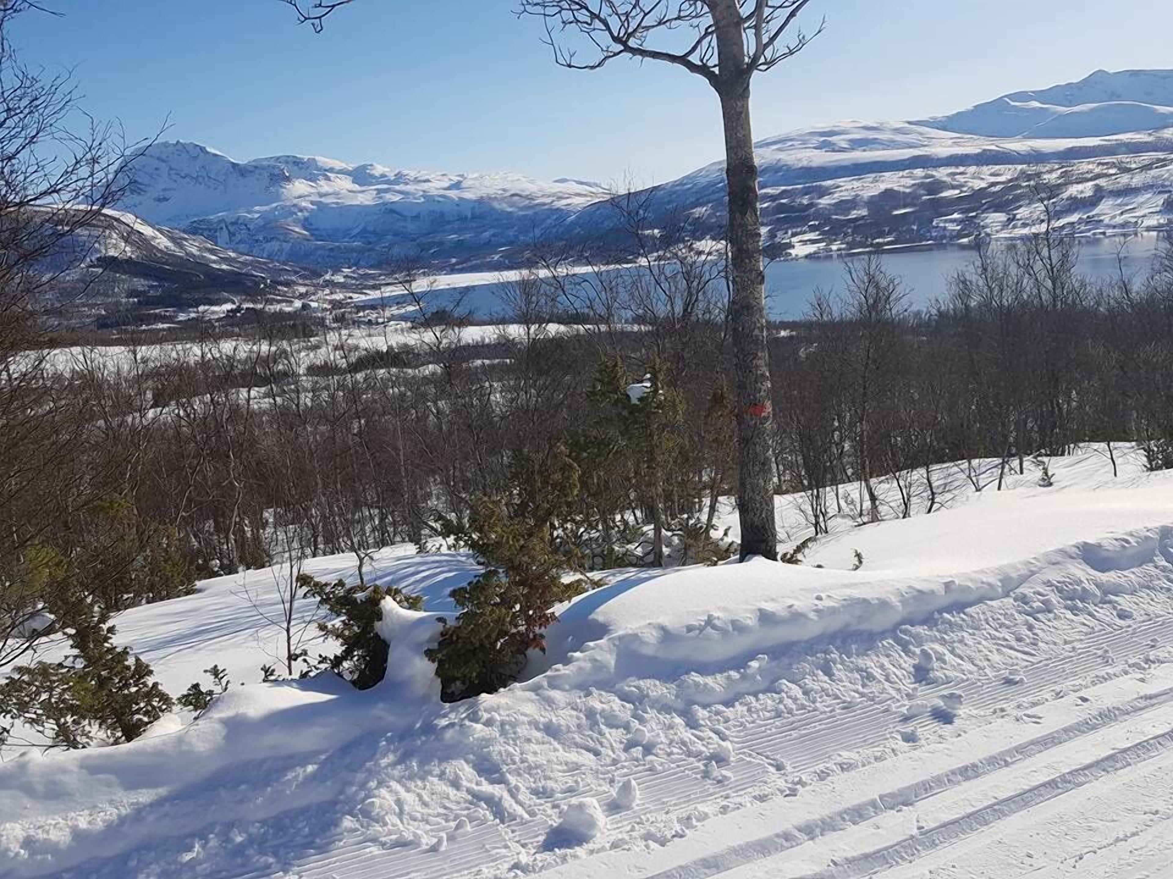 Paisaje nevado con un lago, montañas y un árbol en primer plano.