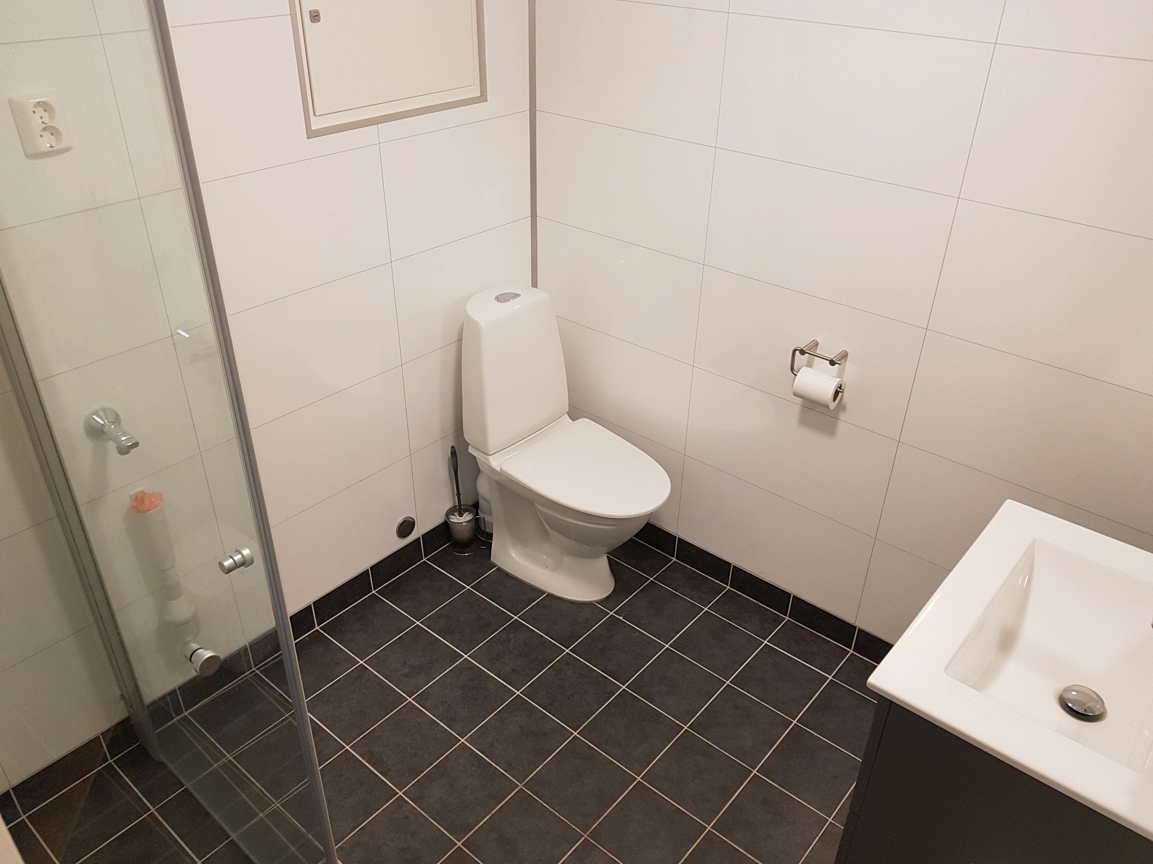 A bathroom with a toilet, a sink, and a shower area.