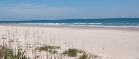 Vlak bij het strand