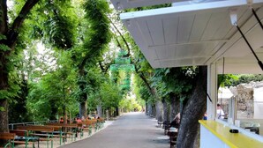 Un sentier bordé d’arbres, agrémenté de bancs, et un petit bâtiment doté d’un comptoir jaune.
