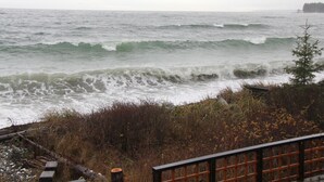 Vista costeira com ondas quebrando na praia, uma cerca de madeira e vegetação.