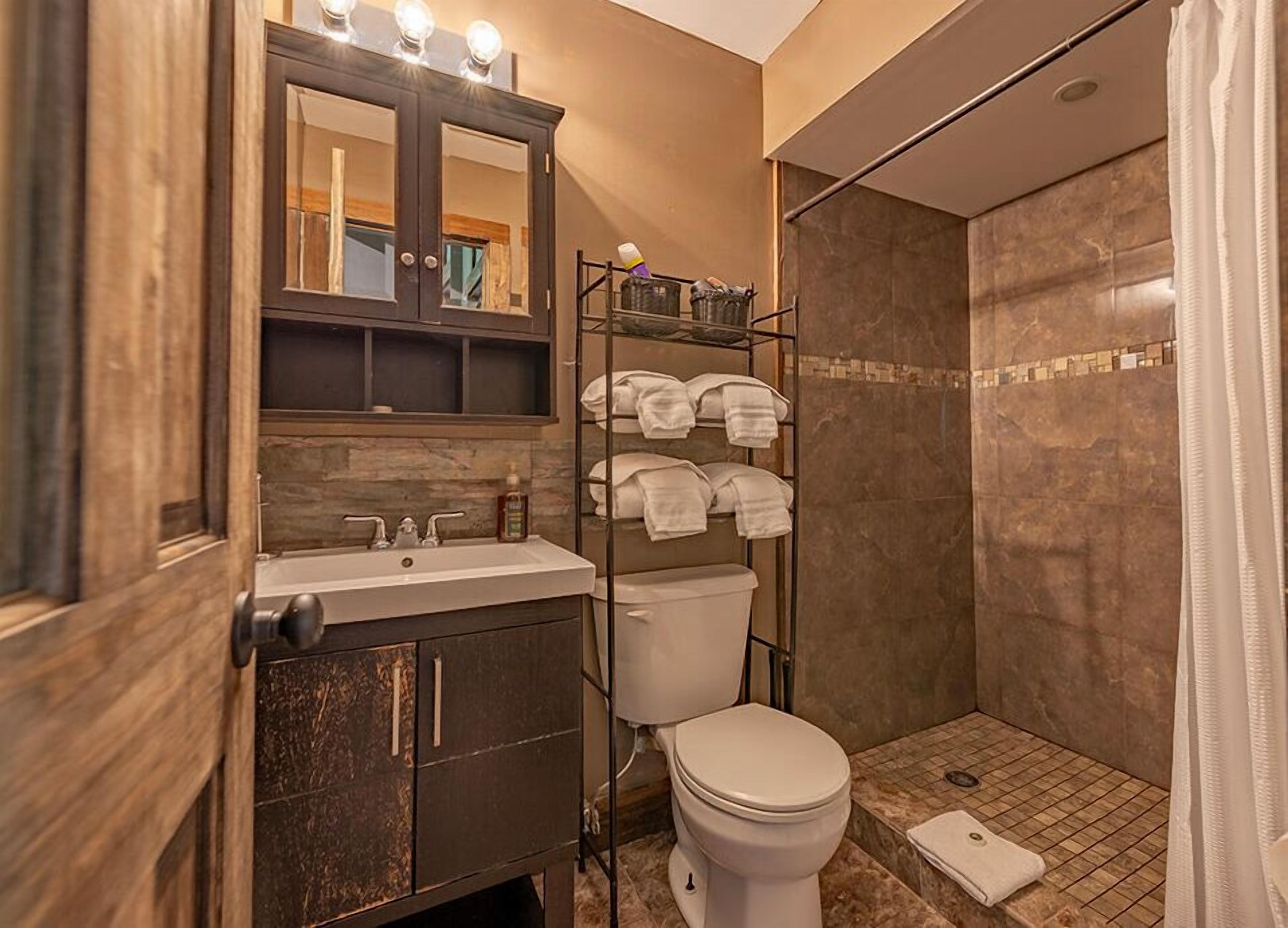 Shower, hair dryer