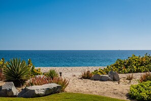 A beach with a clear view of the ocean, surrounded by various plants and rocks.