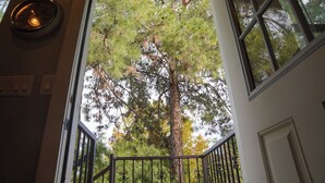 Vista desde una ventana con baranda metálica, con árboles altos y cielo despejado.