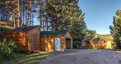 Old Town Cottage: enclavado en una ladera boscosa en el borde de Hill City