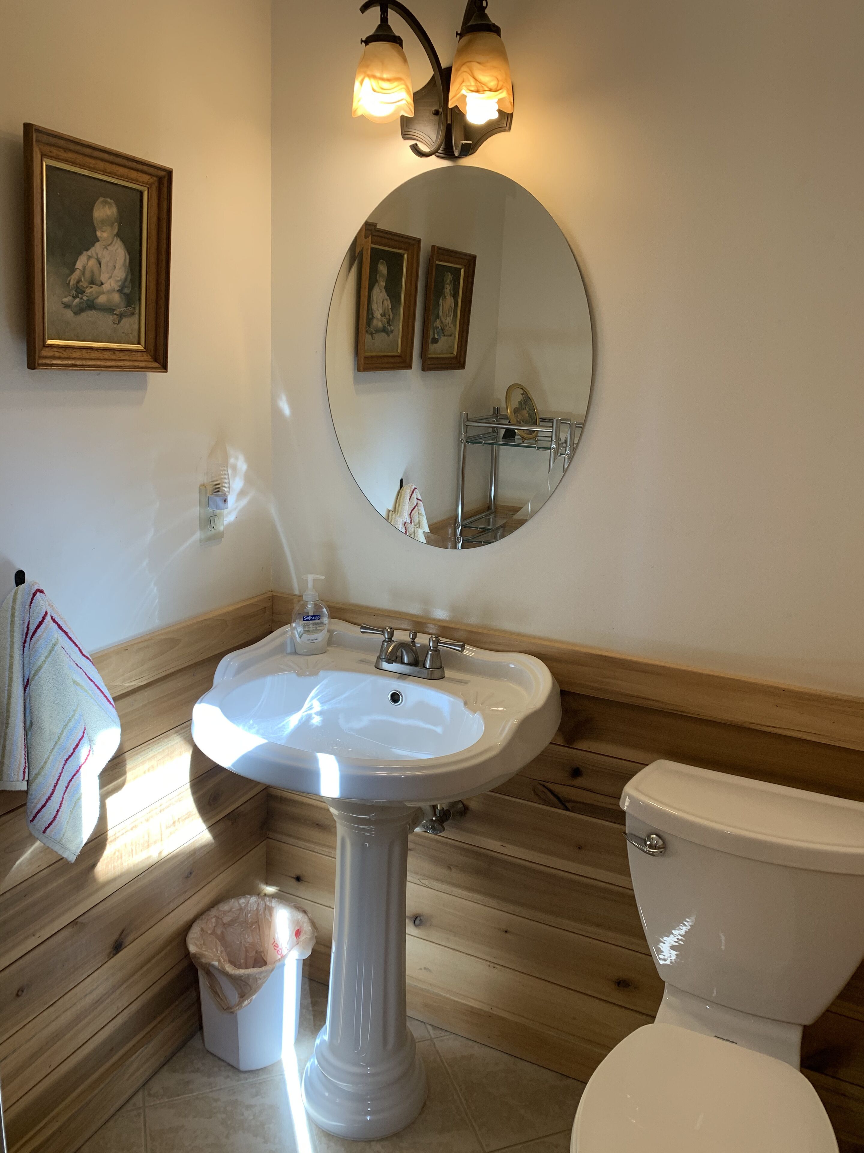 A bathroom with a pedestal sink, a toilet, a mirror, and wooden paneling.