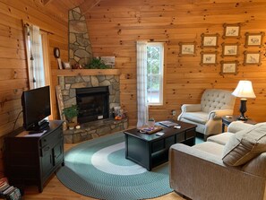 Televisión, chimenea y reproductor de DVD 