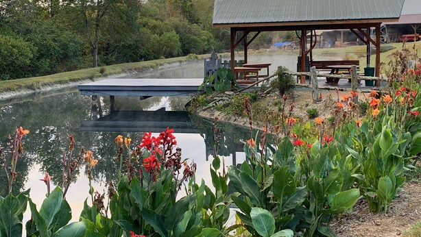 Zona exterior tranquil·la amb un estany, una glorieta de fusta i vegetació abundant.