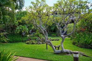 Terrain de l’hébergement 